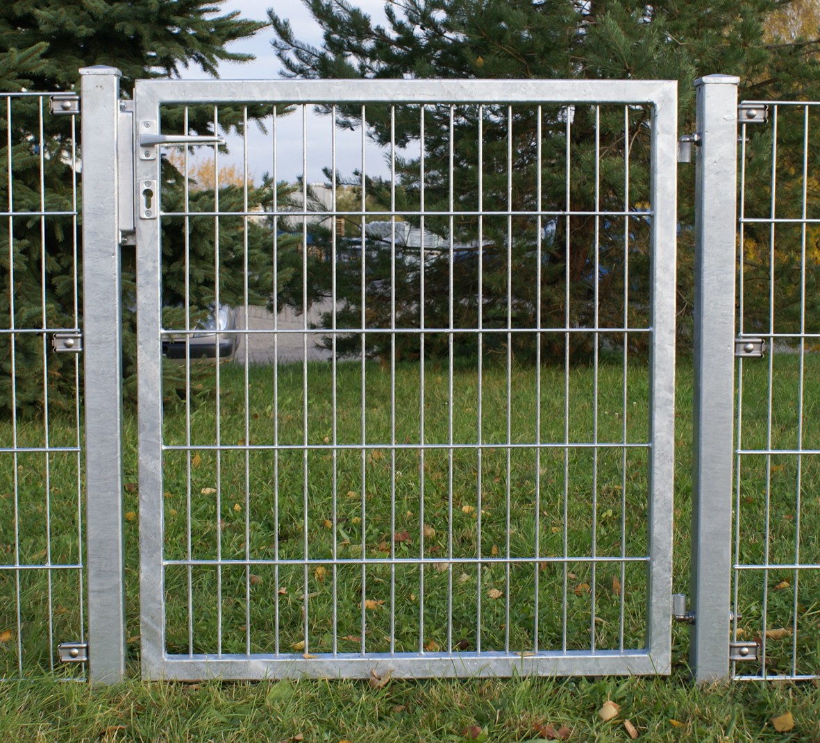 Combination garden gate 1-leaf 6/5/6 mm for double picket fence, gate (light version)